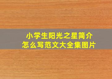 小学生阳光之星简介怎么写范文大全集图片