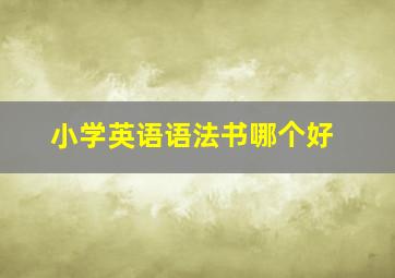 小学英语语法书哪个好