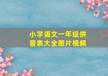 小学语文一年级拼音表大全图片视频