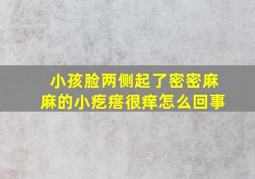 小孩脸两侧起了密密麻麻的小疙瘩很痒怎么回事