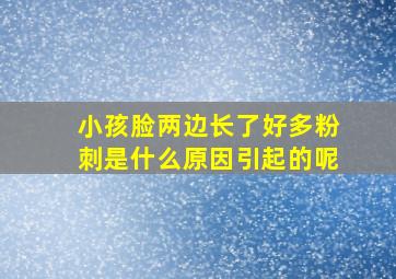 小孩脸两边长了好多粉刺是什么原因引起的呢