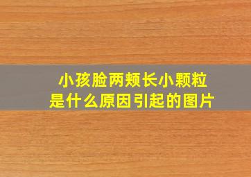 小孩脸两颊长小颗粒是什么原因引起的图片