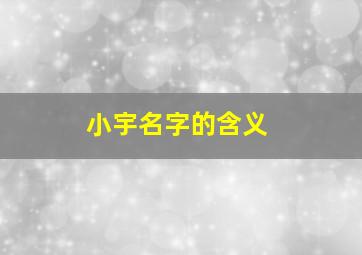 小宇名字的含义