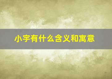 小宇有什么含义和寓意