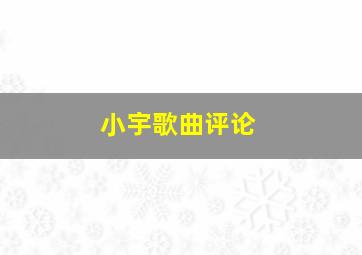 小宇歌曲评论