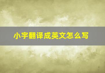 小宇翻译成英文怎么写