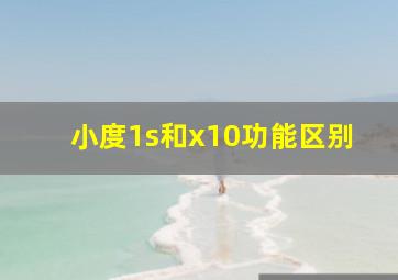 小度1s和x10功能区别