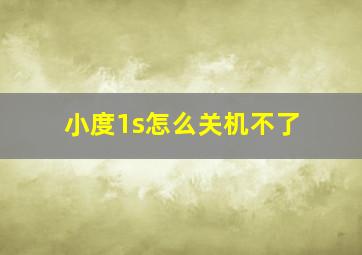 小度1s怎么关机不了