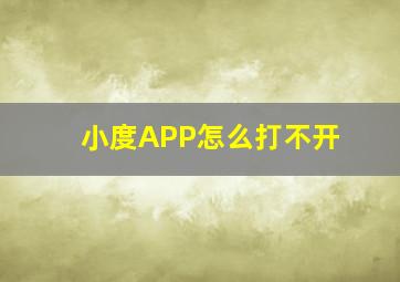 小度APP怎么打不开