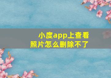 小度app上查看照片怎么删除不了