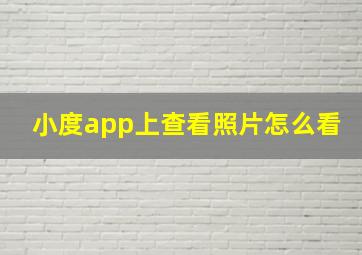 小度app上查看照片怎么看