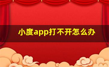 小度app打不开怎么办