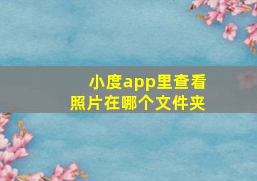 小度app里查看照片在哪个文件夹