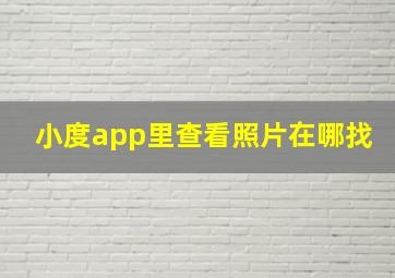 小度app里查看照片在哪找