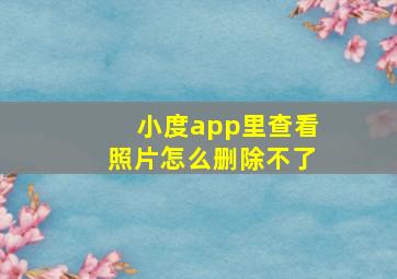 小度app里查看照片怎么删除不了