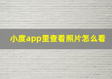 小度app里查看照片怎么看