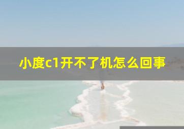 小度c1开不了机怎么回事