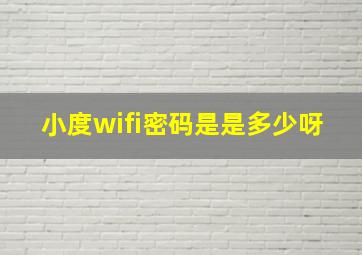 小度wifi密码是是多少呀