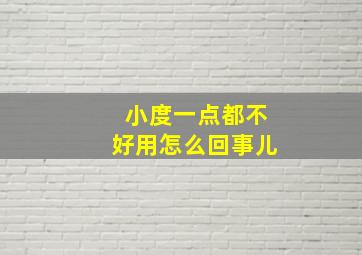 小度一点都不好用怎么回事儿