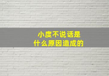 小度不说话是什么原因造成的