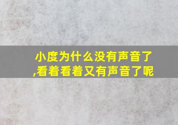 小度为什么没有声音了,看着看着又有声音了呢