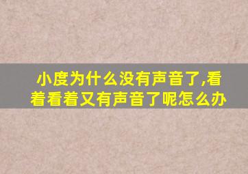 小度为什么没有声音了,看着看着又有声音了呢怎么办