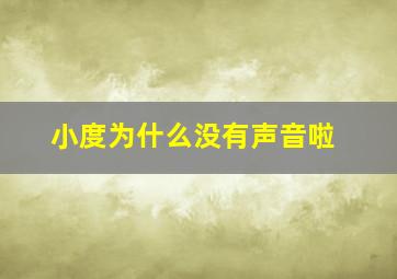 小度为什么没有声音啦