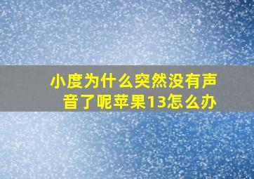 小度为什么突然没有声音了呢苹果13怎么办