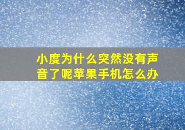 小度为什么突然没有声音了呢苹果手机怎么办