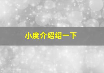 小度介绍绍一下