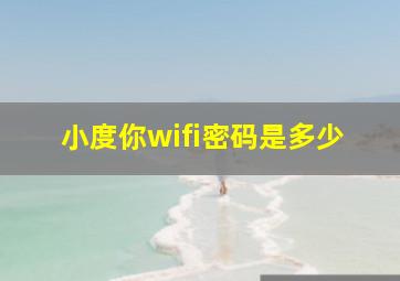 小度你wifi密码是多少