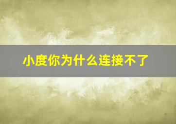 小度你为什么连接不了