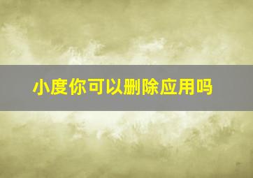 小度你可以删除应用吗