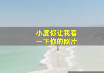 小度你让我看一下你的照片