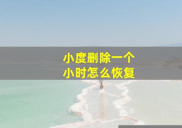 小度删除一个小时怎么恢复