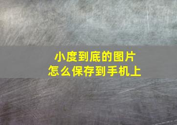 小度到底的图片怎么保存到手机上