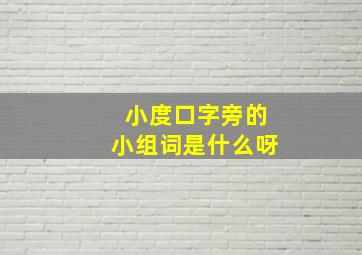 小度口字旁的小组词是什么呀