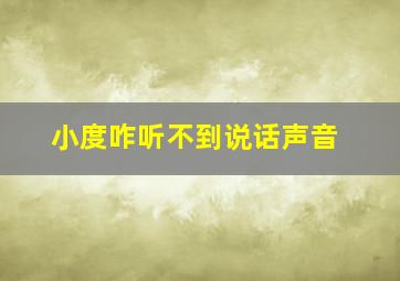 小度咋听不到说话声音