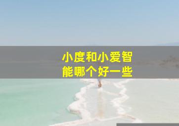 小度和小爱智能哪个好一些