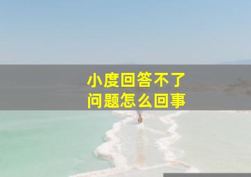 小度回答不了问题怎么回事