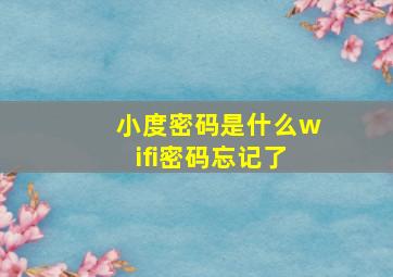 小度密码是什么wifi密码忘记了