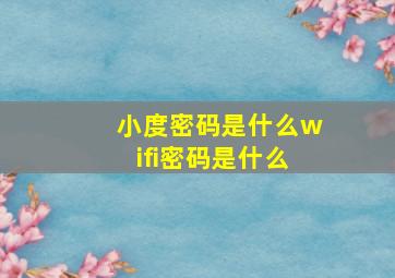 小度密码是什么wifi密码是什么