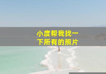 小度帮我找一下所有的照片