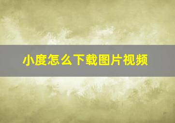 小度怎么下载图片视频