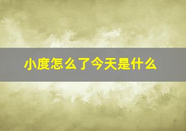 小度怎么了今天是什么