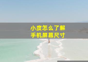 小度怎么了解手机屏幕尺寸