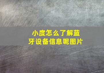 小度怎么了解蓝牙设备信息呢图片