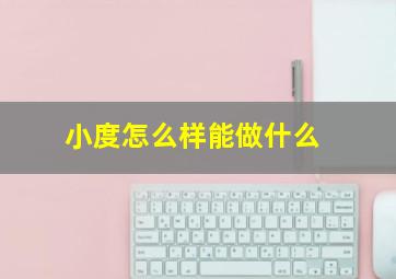 小度怎么样能做什么