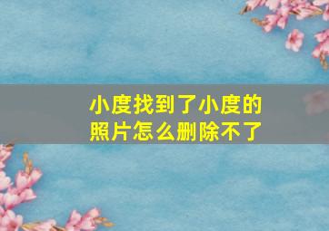 小度找到了小度的照片怎么删除不了