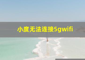 小度无法连接5gwifi